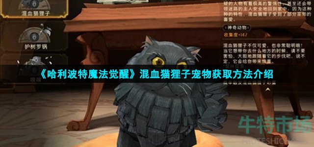 《哈利波特魔法觉醒》混血猫狸子宠物获取方法介绍