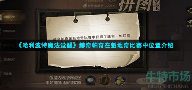 《哈利波特魔法觉醒》赫奇帕奇在魁地奇比赛中位置介绍