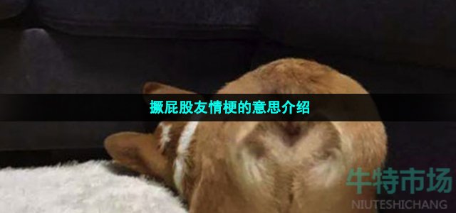 撅屁股友情梗的意思介绍