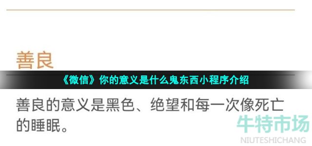 《微信》你的意义是什么鬼东西小程序介绍