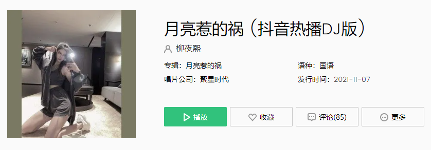《抖音》柳夜熙月亮惹的祸DJ版歌曲介绍
