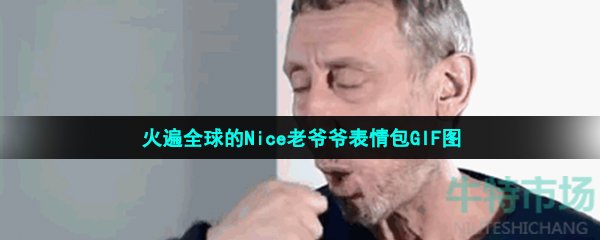 火遍全球的Nice老爷爷表情包GIF图