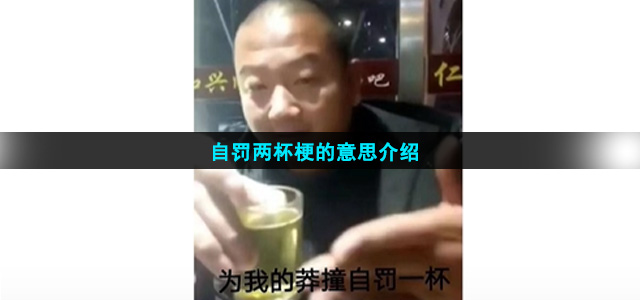 自罚两杯梗的意思介绍