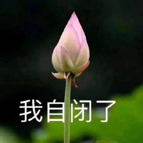 《抖音》搞笑夕阳红老年荷花头像大全高清无水印