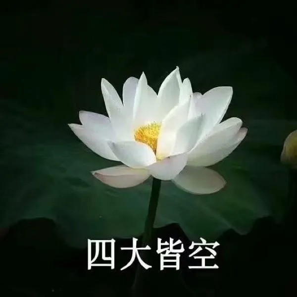 《抖音》搞笑夕阳红老年荷花头像大全高清无水印