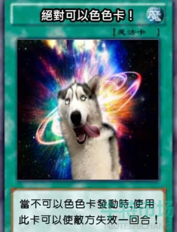 柴犬色色卡梗的意思介绍