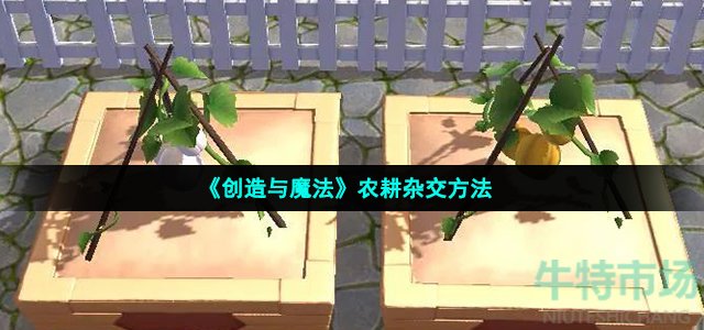 《创造与魔法》农耕杂交方法