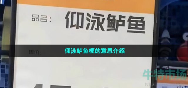 仰泳鲈鱼梗的意思介绍