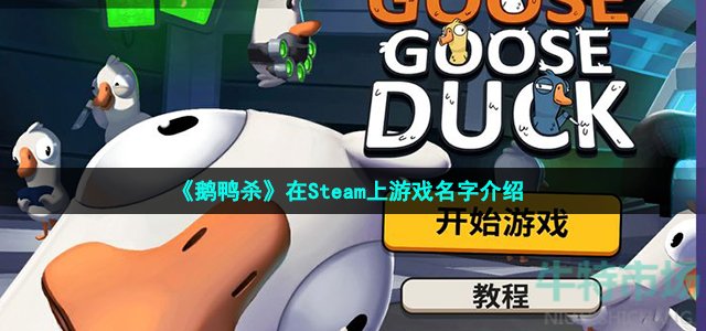 《鹅鸭杀》在Steam上游戏名字介绍