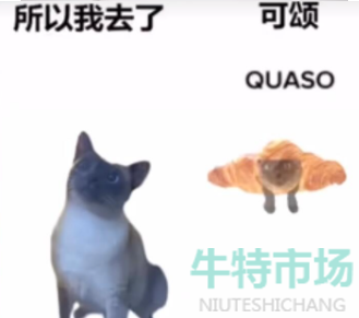 《抖音》可颂猫梗的意思介绍