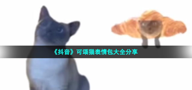 《抖音》可颂猫表情包大全分享