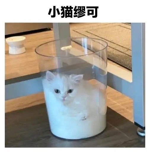 《抖音》可颂猫表情包大全分享