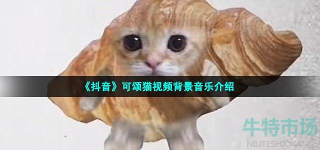 《抖音》可颂猫视频背景音乐介绍