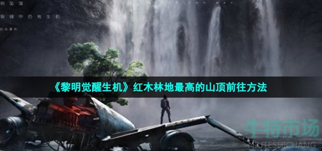 《黎明觉醒生机》红木林地最高的山顶前往方法