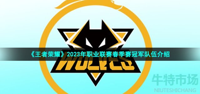 《王者荣耀》2023年职业联赛春季赛冠军队伍介绍