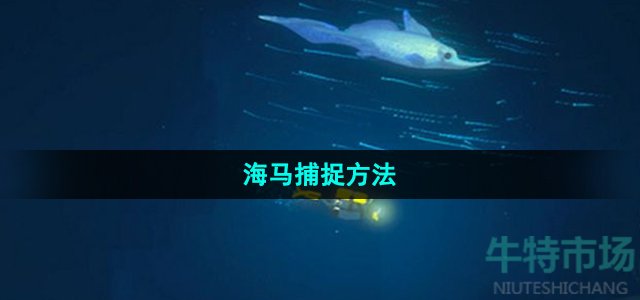 《潜水员戴夫》海马捕捉方法