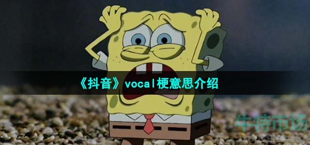 《抖音》vocal梗意思介绍