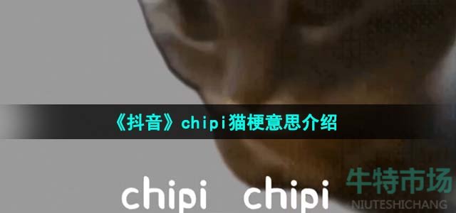 《抖音》chipi猫梗意思介绍