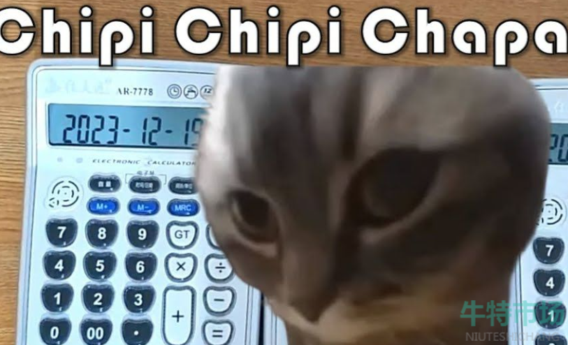 《抖音》chipi猫梗意思介绍