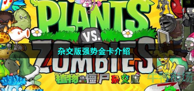 《植物大战僵尸杂交版》强势金卡介绍