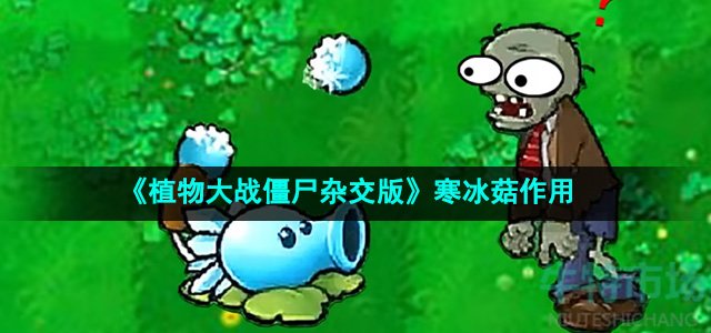 《植物大战僵尸杂交版》寒冰菇作用