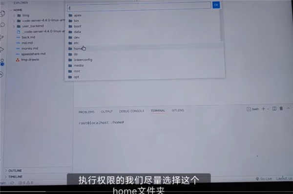 vscode中文版