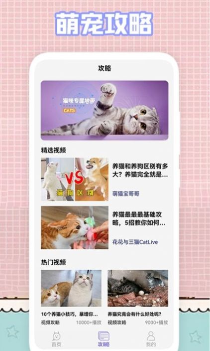 我的猫咪壁纸截图