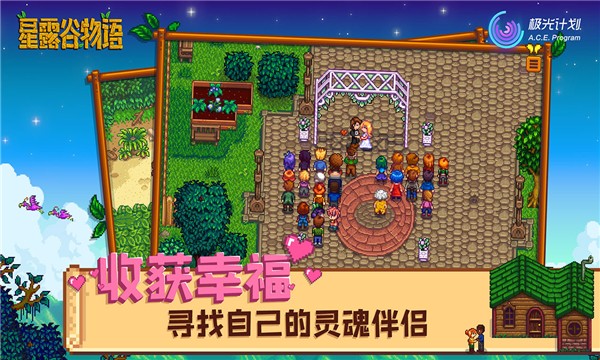 stardew valley截图