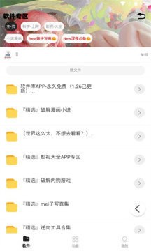 倾城软件库免登陆版截图