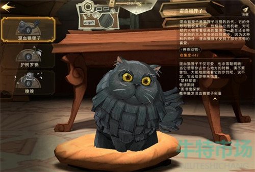 《哈利波特魔法觉醒》混血猫狸子宠物获取方法介绍