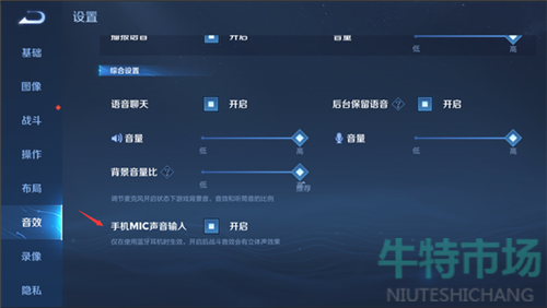 《王者荣耀》手机MIC声音输入作用介绍