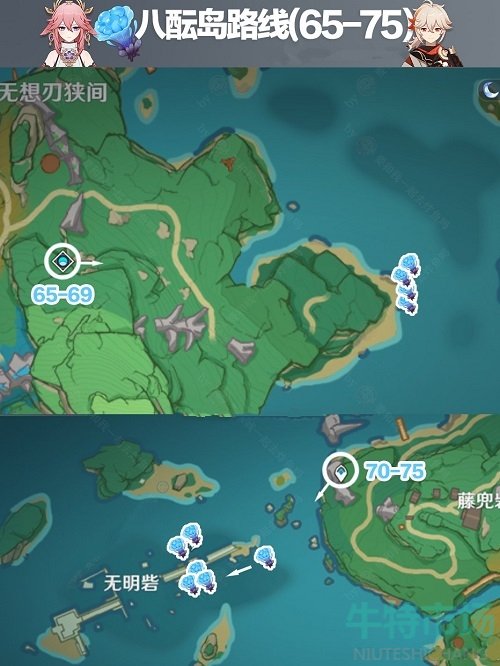 《原神》2.5版本稻妻海灵芝全收集路线图